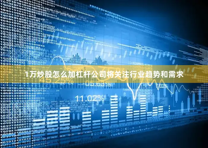 1万炒股怎么加杠杆公司将关注行业趋势和需求
