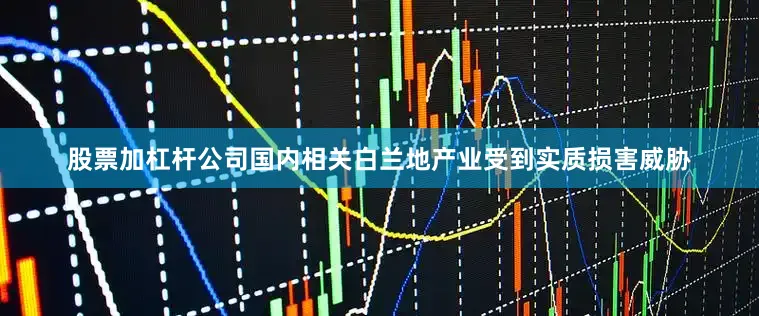 股票加杠杆公司国内相关白兰地产业受到实质损害威胁
