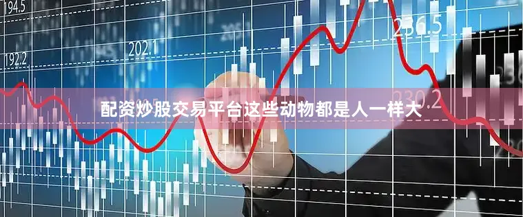 配资炒股交易平台这些动物都是人一样大