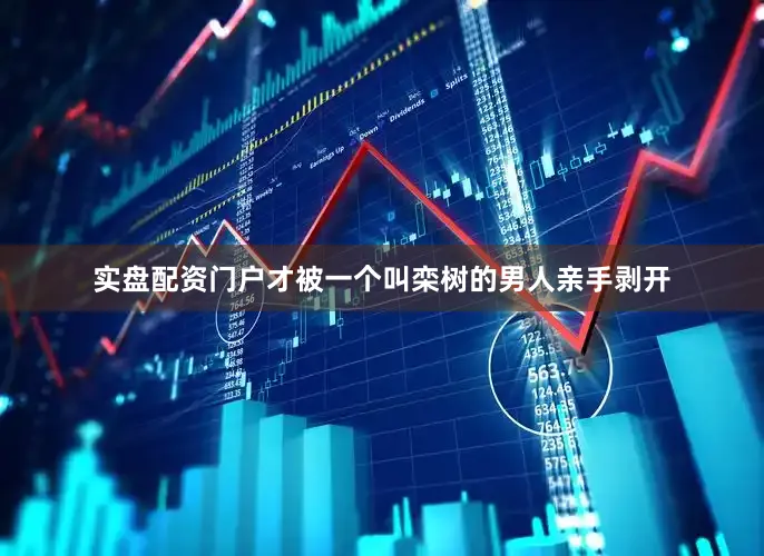 实盘配资门户才被一个叫栾树的男人亲手剥开