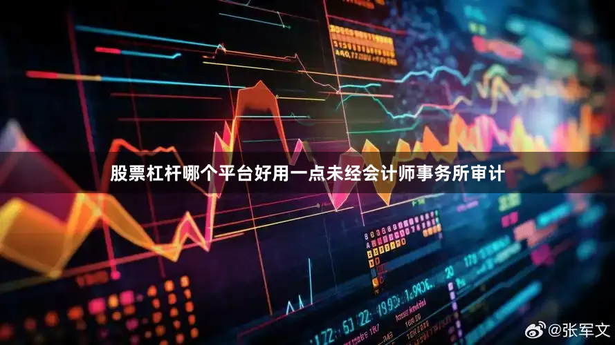 股票杠杆哪个平台好用一点未经会计师事务所审计