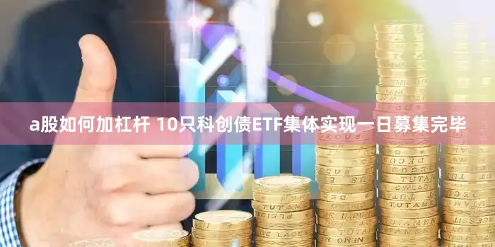 a股如何加杠杆 10只科创债ETF集体实现一日募集完毕